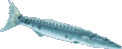 ../graficos/gad.gif (6650 bytes)