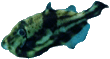 ../graficos/gad.gif (6650 bytes)