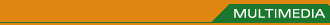 AUDIO & MULTIMEDIA