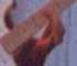 Vi�a Rock