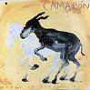 Camar�n de la Isla - Potro de Rabia y Miel