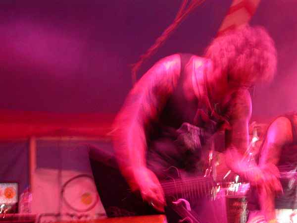 Skunk DF ( Festimad 03 : Una gran fiesta musical, 30 y 31 de mayo 2003 )