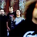 NAPALM DEATH: "La inteligencia de una leyenda del rock"