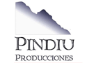 PINDIO PRODUCCIONES