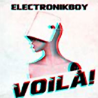 Electronikboy