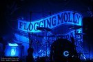 Flogging Molly 