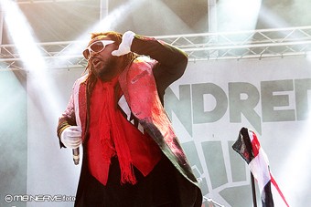 Skindred