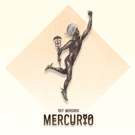 Roy Mercurio