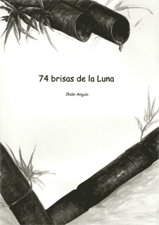 Chabi Angulo: 74 brisas de la luna