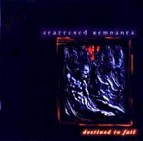 Scattered Remnants: Destined To Fail