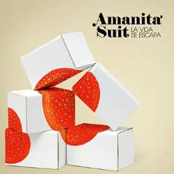 Amanita Suit: Publican un nuevo álbum, “La vida se escapa”