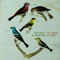 Steven Munar: Lanzamiento de “The language of the birds”