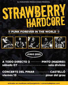 Strawberry Hardcore : Nueva formación y nuevos proyectos.